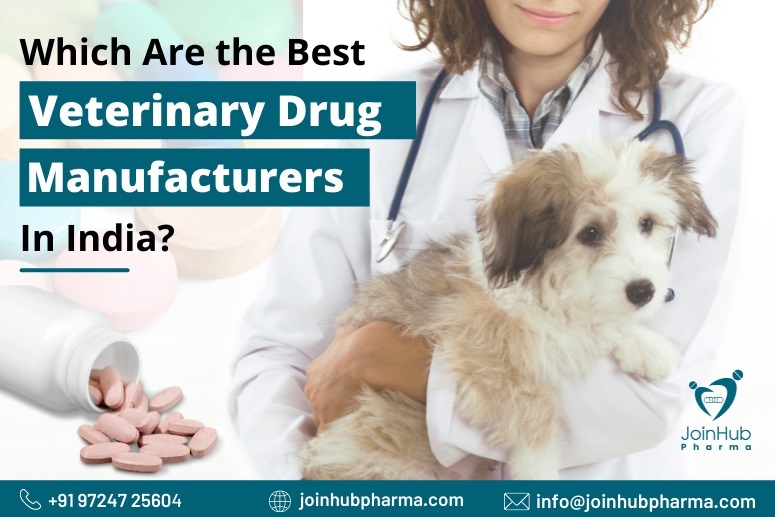 Which Are the Best Veterinary Drug Manufacturers in India?