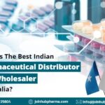 Which Is The Best Indian Pharmaceutical Distributor And Wholesaler In Somalia?