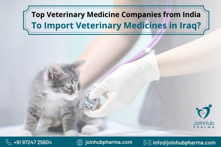 Top Veterinary Medicine Companies from India To Import Veterinary Medicines in Iraq