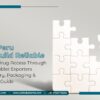 How Peru Can Build Reliable Generic Drug Access Through Indian Tablet Exporters – Regulatory, Packaging & Sourcing Guide